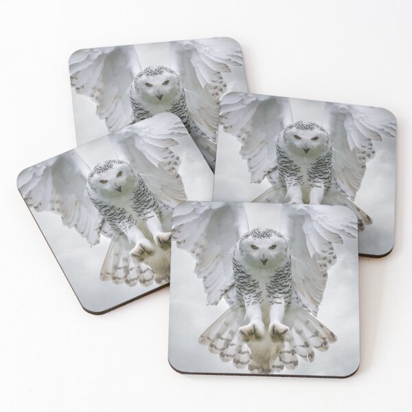 Item preview, Snowy Owl designed and sold by Steve Liptrot Photography.