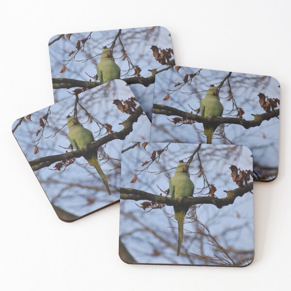 Item preview, The Proud Parakeet designed and sold by Ag-Vulture.