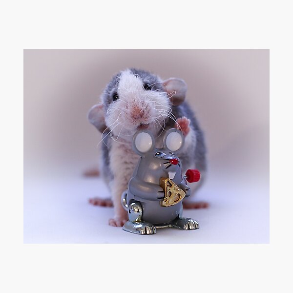 Rosie and her new toy :) Photographic Print
