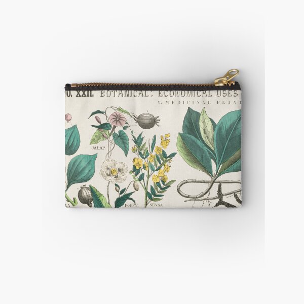 Item preview, Botanical Chart of Medicinal Plants designed and sold by ZinZoe.
