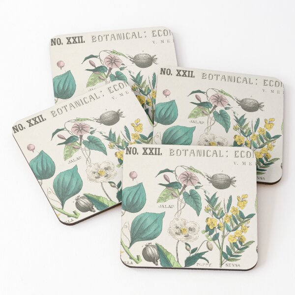 Item preview, Botanical Chart of Medicinal Plants designed and sold by ZinZoe.