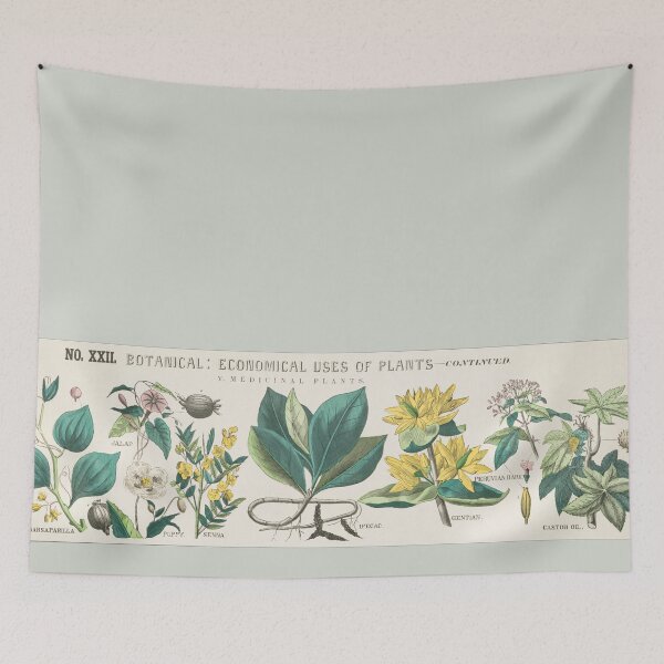 Item preview, Botanical Chart of Medicinal Plants designed and sold by ZinZoe.