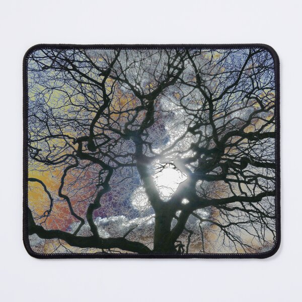 Item preview, Oak tree in early Spring, York, coloured sky edit designed and sold by paulboizot.