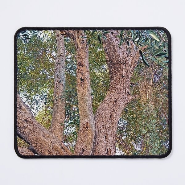 Item preview, Olive tree, Lefkada, paint effect designed and sold by paulboizot.