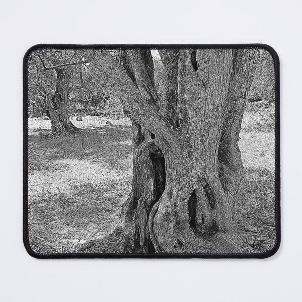 Item preview, Two olive trees, Lefkada, sketch effect designed and sold by paulboizot.