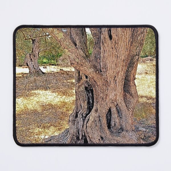 Item preview, Two olive trees, Lefkada, paint effect designed and sold by paulboizot.