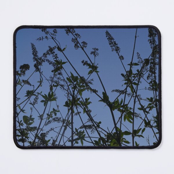 Item preview, Buddleja with winter seedheads, York (vertical) designed and sold by paulboizot.