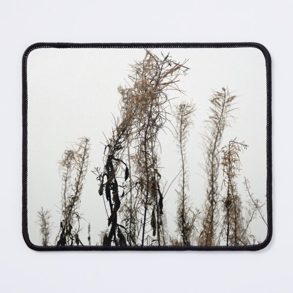 Item preview, Willow Herb in late Autumn designed and sold by paulboizot.