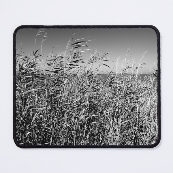 Item preview, Reeds by the lagoon, Lefkada, monochrome designed and sold by paulboizot.