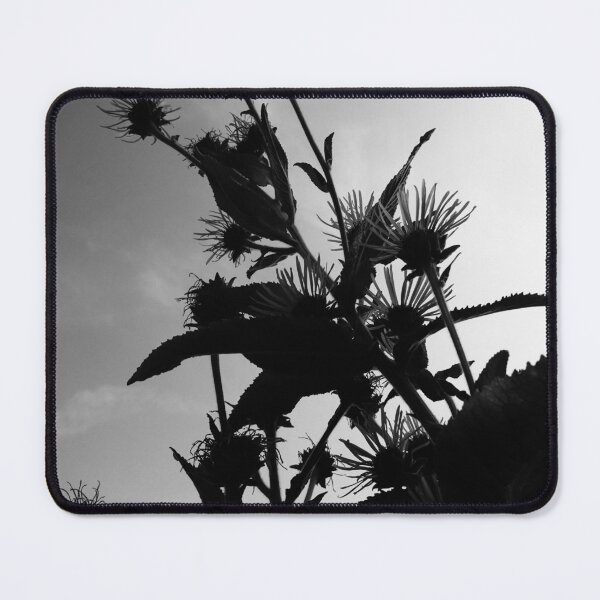 Item preview, Elecampane in flower 1 (monochrome) designed and sold by paulboizot.