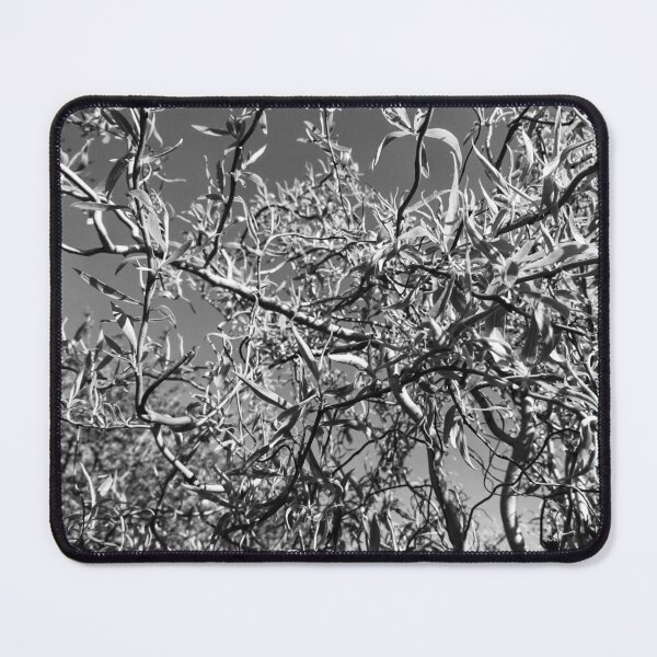 Item preview, Curly willow, York (monochrome) designed and sold by paulboizot.