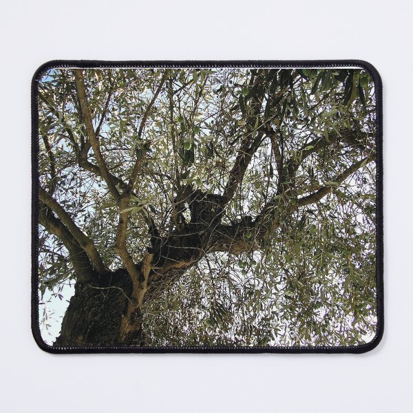 Item preview, Olive tree, Skopelos designed and sold by paulboizot.