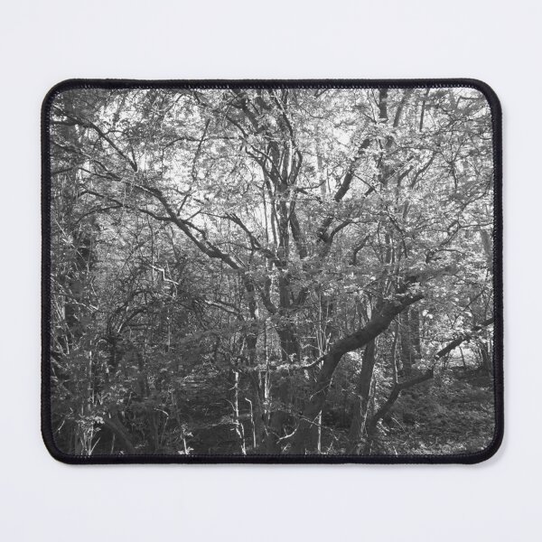 Item preview, Spring leaves and branches (monochrome), Hob Moor, York designed and sold by paulboizot.