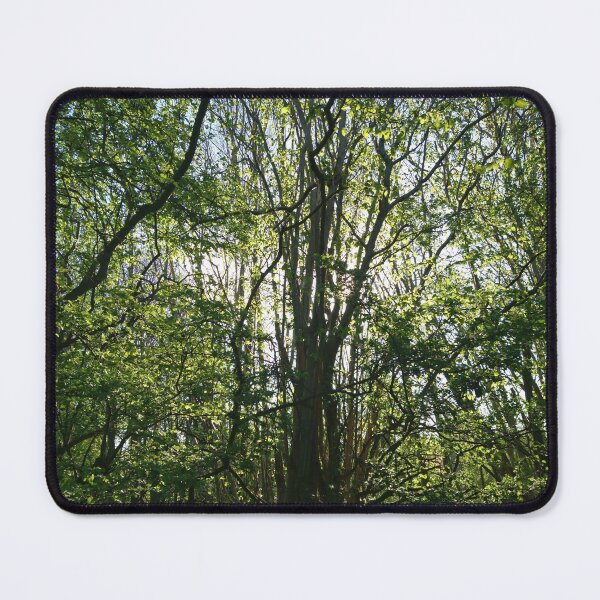 Item preview, Growing towards the light, Hob Moor, York designed and sold by paulboizot.