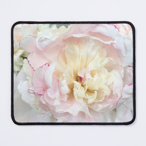 Item preview, Elegant White & Blush Pink Flowers designed and sold by newburyboutique.