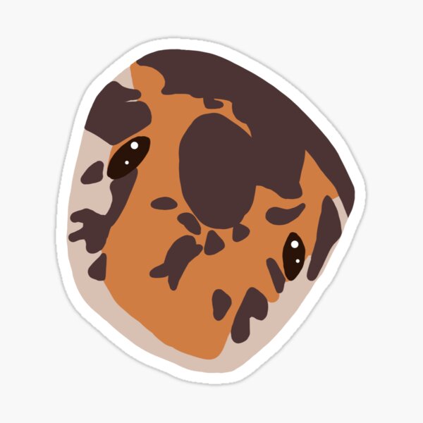 Cute Sand Boa Face 2 Sticker