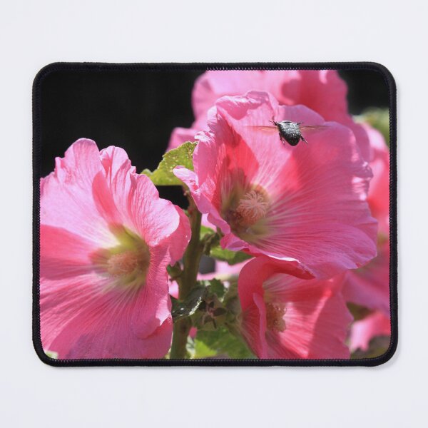 Item preview, Pink summer flowers on black background designed and sold by olena2552.