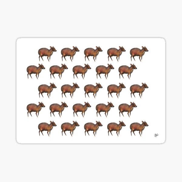 Animals of Malaysia - Kancil/Mousedeer (print) Sticker