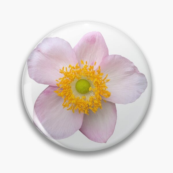 Item preview, Pink Anemone Flower Still Life Floral Photography designed and sold by CottoVerdi.