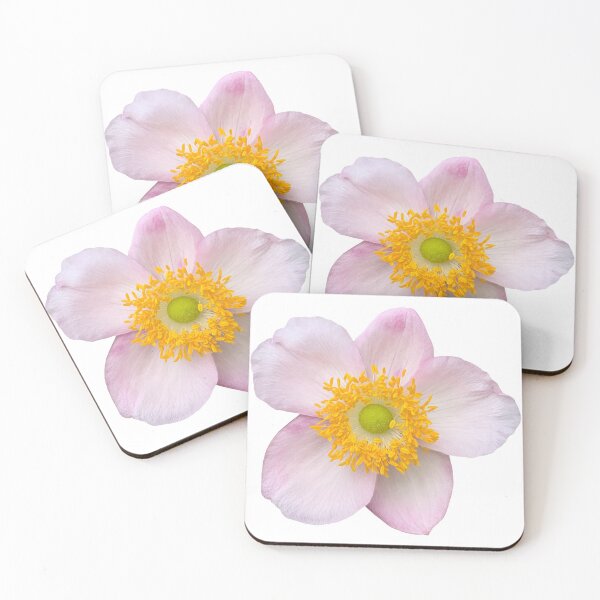 Item preview, Pink Anemone Flower Still Life Floral Photography designed and sold by CottoVerdi.