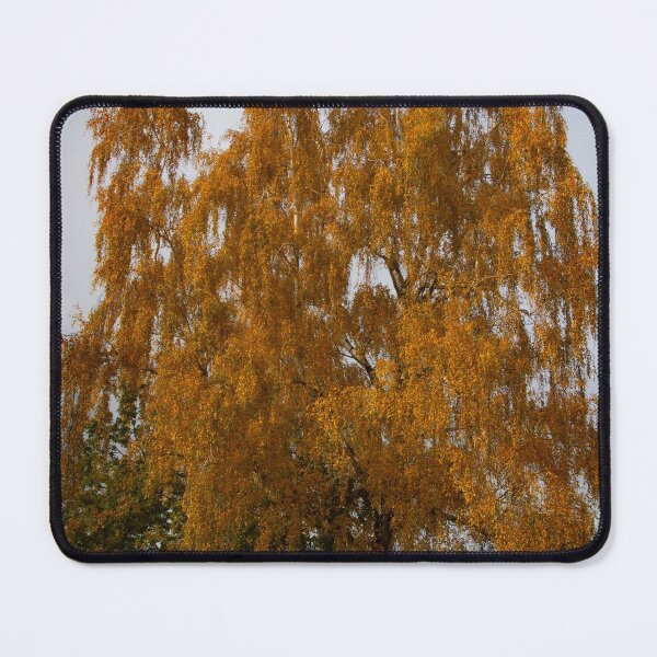 Item preview, Neolithic grave beneath an autumn birch tree designed and sold by Michael Brewer.