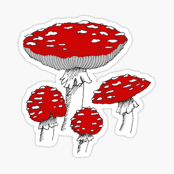 Toadstools - Fly Agaric Glossy Sticker