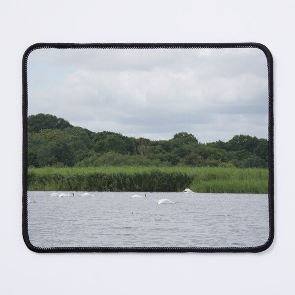 Item preview, Swans On A Lake designed and sold by thelemmingface.