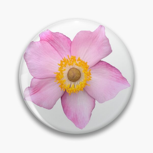 Item preview, Pink Anemone Flower Still Life Floral Photography designed and sold by CottoVerdi.