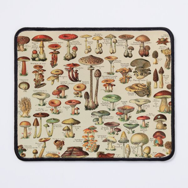 Item preview, Vintage Edible Mushroom Chart designed and sold by GlowinUp Shop.