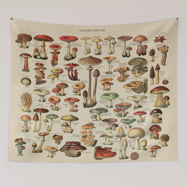 Item preview, Vintage Edible Mushroom Chart designed and sold by GlowinUp Shop.