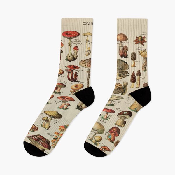 Item preview, Vintage Edible Mushroom Chart designed and sold by GlowinUp Shop.