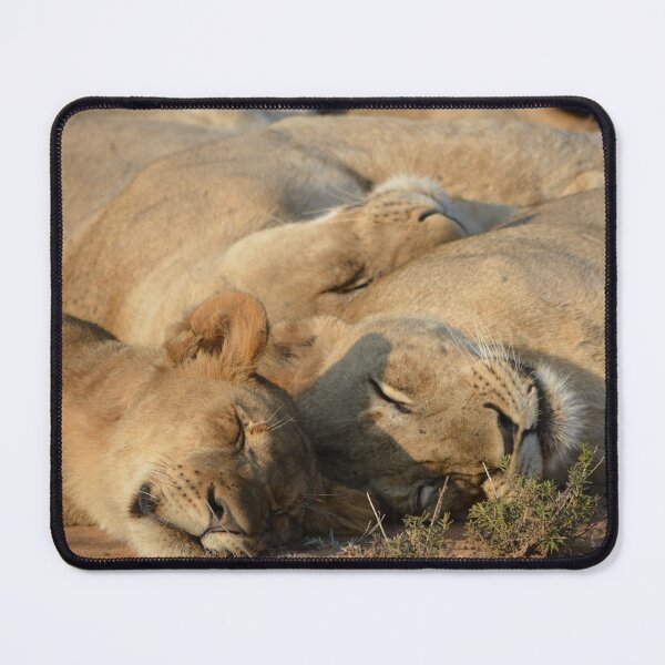 Item preview, Sleeping lions mousepad designed and sold by Roy-Babiuk.