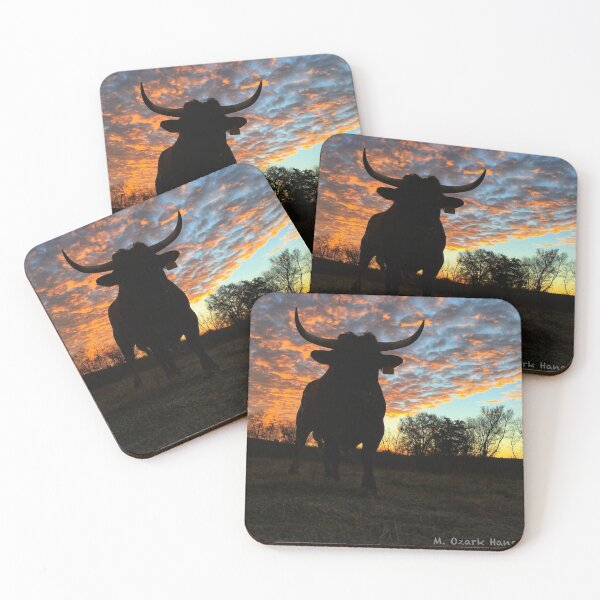 Pineywoods Shaman Rising Coasters (Set of 4)