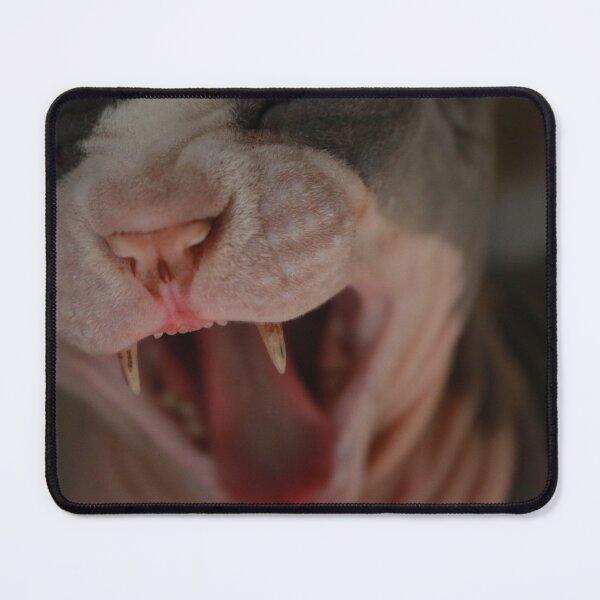Item preview, Giant Hairless Cat Yawning designed and sold by nekodokai1.