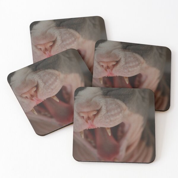 Item preview, Giant Hairless Cat Yawning designed and sold by nekodokai1.