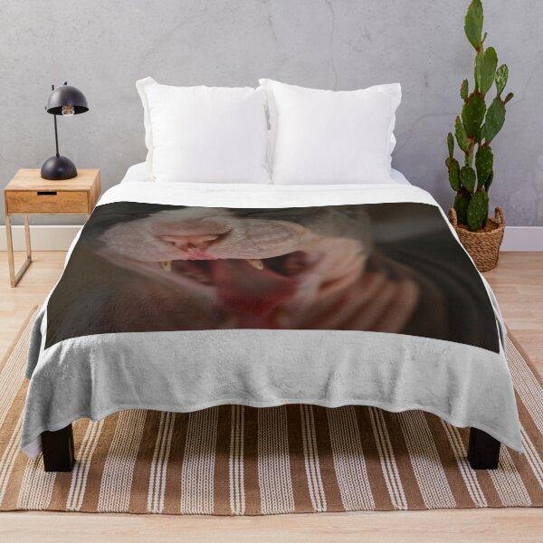 Item preview, Giant Hairless Cat Yawning designed and sold by nekodokai1.