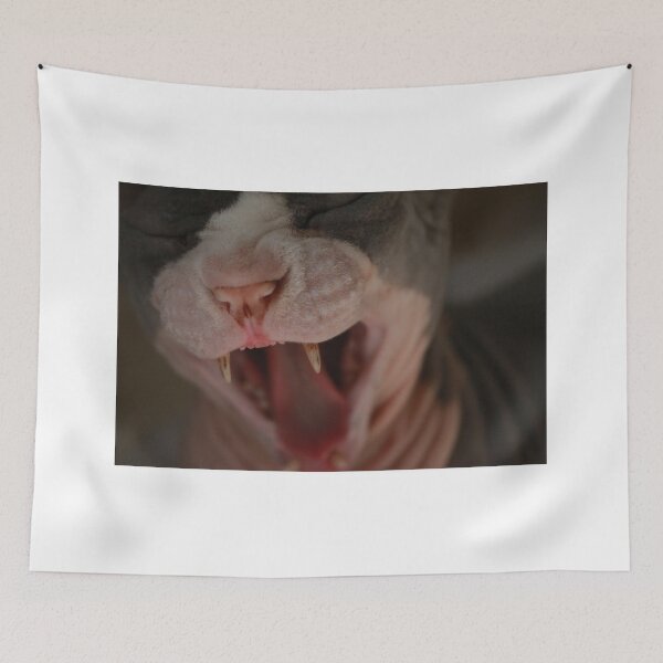 Item preview, Giant Hairless Cat Yawning designed and sold by nekodokai1.