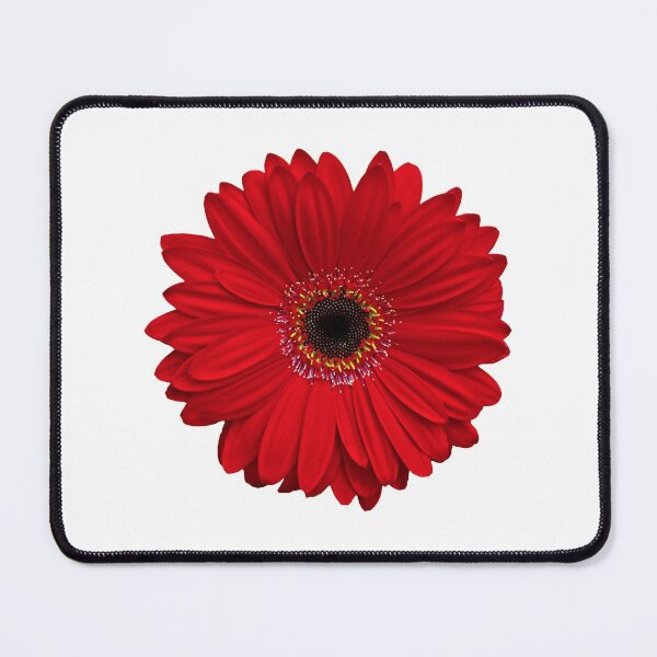 Item preview, red gerbera gerber daisy flower floral sticker designed and sold by wasootch.