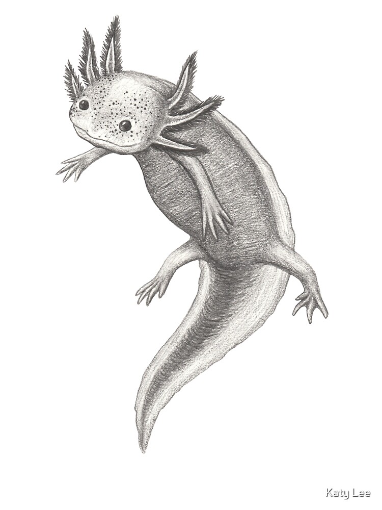 Floating Axolotl Kids T Shirt By Katylee Redbubble Floating Axolotl Kids T Shirt By Katylee Redbubble