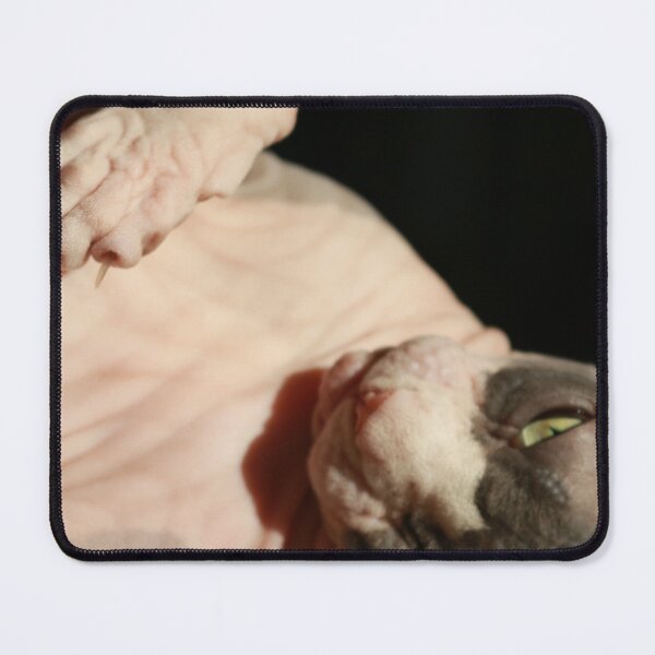Item preview, Hairless Cat - Cowboy the Sphynx designed and sold by nekodokai1.