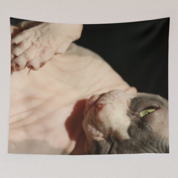 Item preview, Hairless Cat - Cowboy the Sphynx designed and sold by nekodokai1.