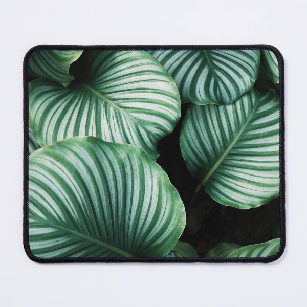 Item preview, Banana leaf designed and sold by covid50.