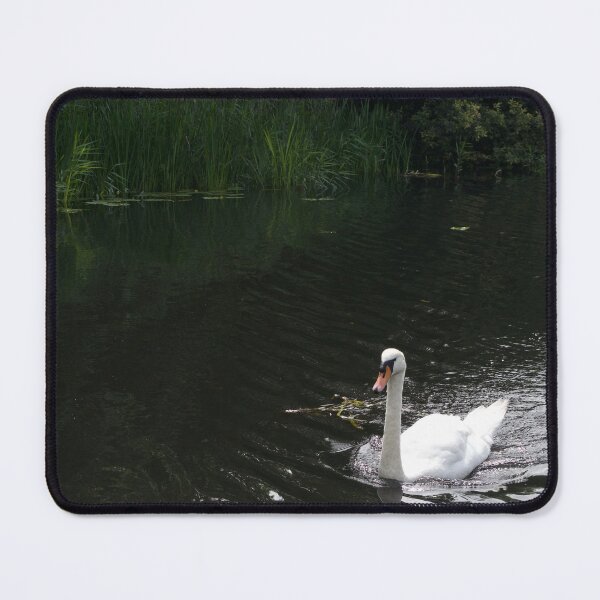 Item preview, White Mute Swan designed and sold by thelemmingface.