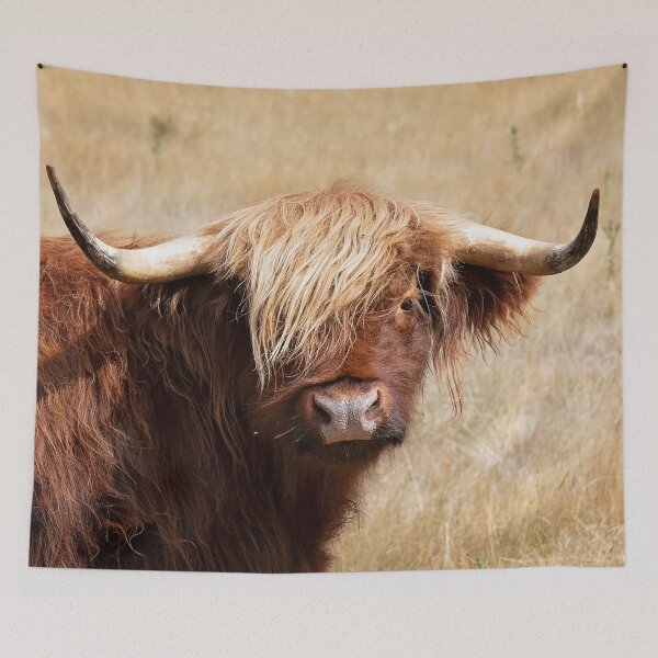 Item preview, Hairy Harry designed and sold by Bevlea Ross.
