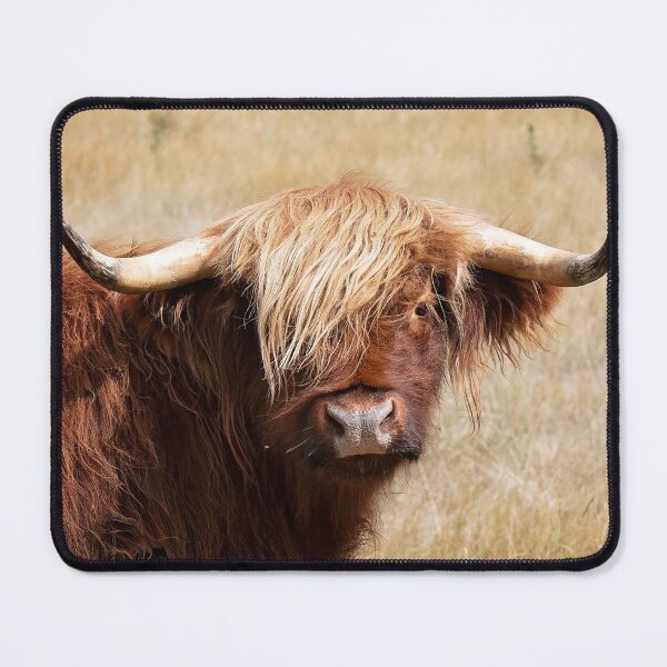 Item preview, Hairy Harry designed and sold by Bevlea Ross.