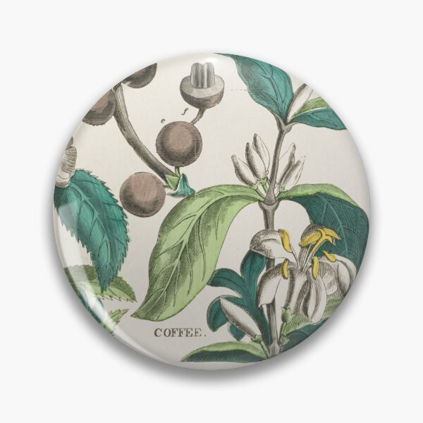 Item preview, Coffee or Tea - which is best designed and sold by ZinZoe.