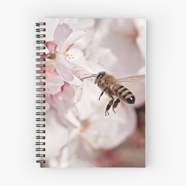 Item preview, Spring Blossoms designed and sold by Bevlea Ross.