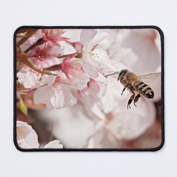 Item preview, Spring Blossoms designed and sold by Bevlea Ross.