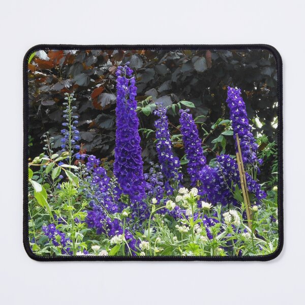 Item preview, Larkspur designed and sold by SunriseRose.