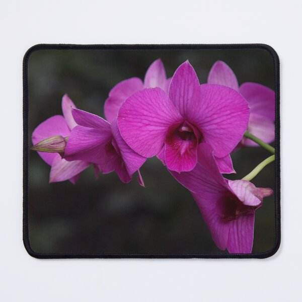 Item preview, Elegant Purple Orchid designed and sold by newburyboutique.
